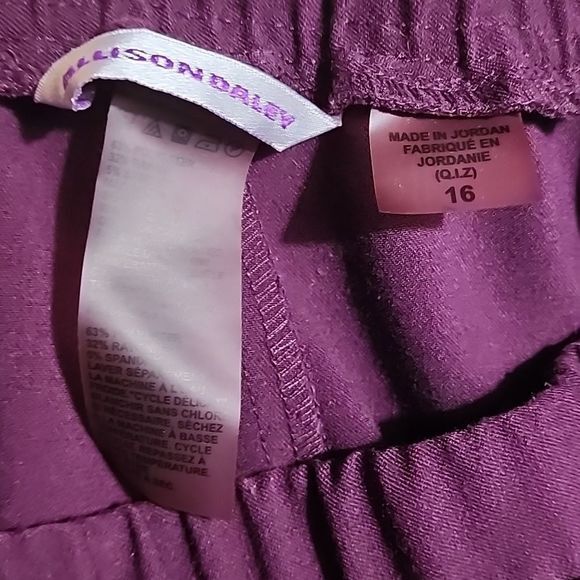 Allison Daley Elastic Waist Pull On Pants w/ Pockets Merlot Purple 16‎ - Picture 2 of 7